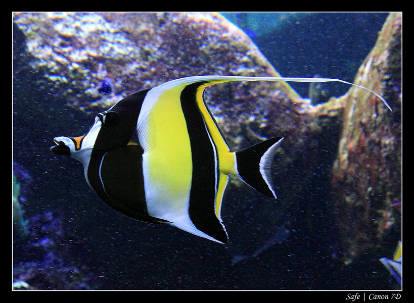 2012 - 06 - Dubai - 011